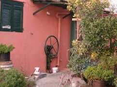 trigoso.it Mandrella