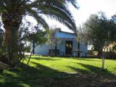 siciliasud.it Mandrie