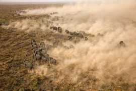 nationalgeographic.it Mandrie
