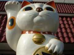 hashimotoya.com Manekineko