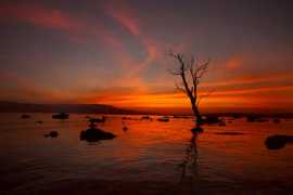 121clicks.com Mangalika