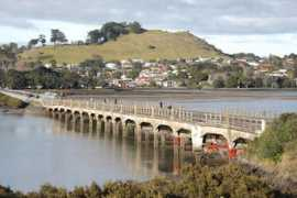 roadtraffic-technology.com Mangere