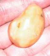 Manggo