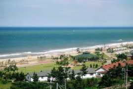 Mangsang