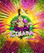 brazilcarnival.com.br Mangueira