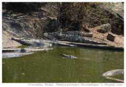 kalpana.it Manica