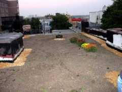 greenroofs.com Manida