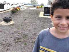 greenroofs.com Manida