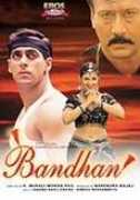 salmanmania.com Manihar
