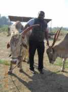animalrahat.com Manilal
