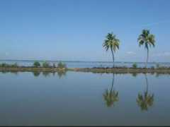 nativeplanet.com Manimala