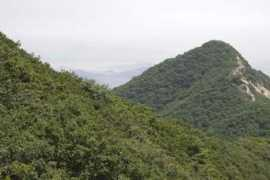pictures.traveladventures.org Manisan