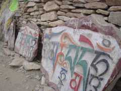 greentv.com.cn Manishi