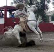 decharros.com Manjarez