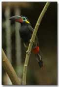 unique-southamerica-travel-experience.com Manjith