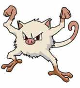 Mankey