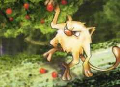 Mankey