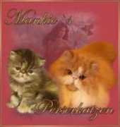 mankies-perserkatzen.de Mankie