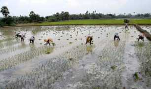 thehindu.com Mannargudi