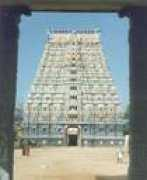 tiruvarur.tn.nic.in Mannargudi