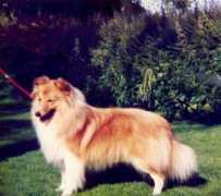 Manneke