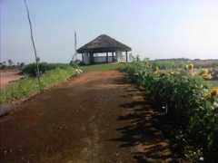 fotothing.com Manoharan