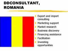 ddconsultant.scriptmania.com Manoila