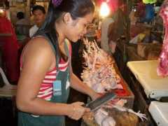 Manok