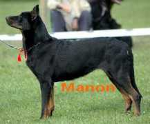 descroisettes.com Manonne