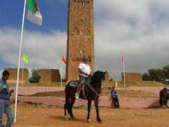 panoramio.com Mansourah
