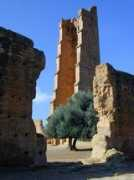 visoterra.com Mansourah