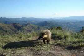 panoramio.com Mantiqueira