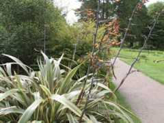 botanic.jp Maoran