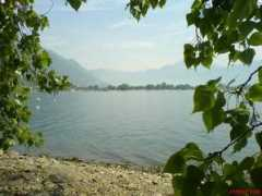 panoramio.com Mappo