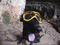 viagensmaneiras.com Maquine