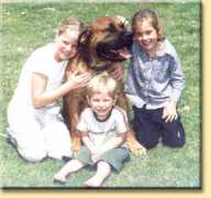 african-boerboel.co.za Maraai