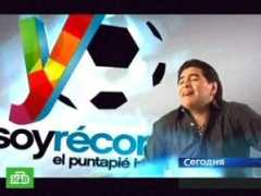 ntv.ru Maradonna