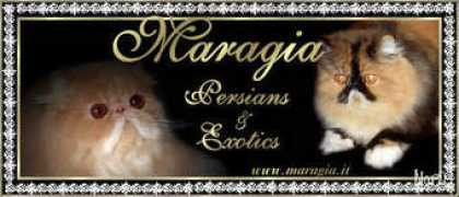 Maragia