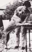 southernridgebacks.co.uk Marandella