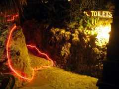 bridgeandtunnelclub.com Marandi