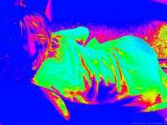 exibart.com Maranetto