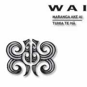 amplifier.co.nz Maranga
