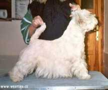 westies.cz Marank