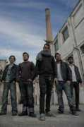 projeggt.com Maranta
