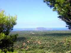 9h3m.com Marath