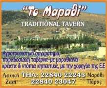 hellasislands.gr Marath