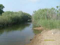 en.balcanica.info Marathias