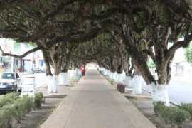 Maravilhoso