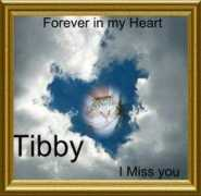 mytibby.ws Marban