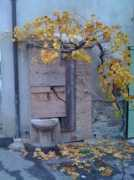 sanmicheletiorre.it Marbini
